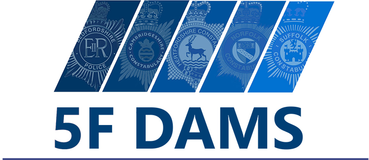 5F DAMS Logo